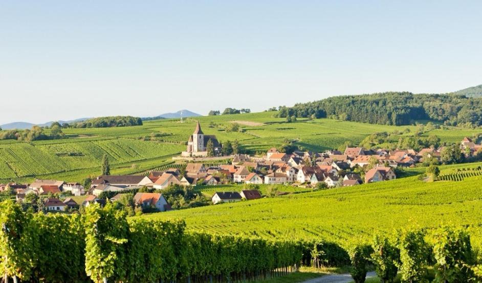 Relais Des Vosges Appartement Husseren-Wesserling Buitenkant foto